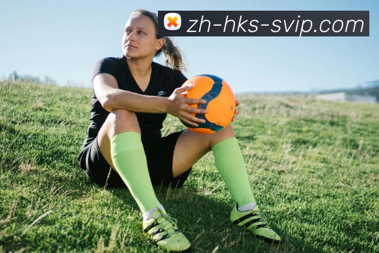 B体育官网发展历程