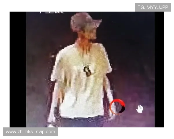 《高中同学Larry失联多年，重启寻人游戏揭开往昔回忆与秘密》